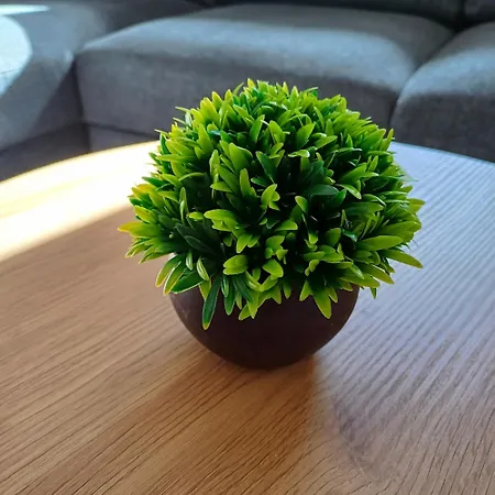 Apartment Rose 2